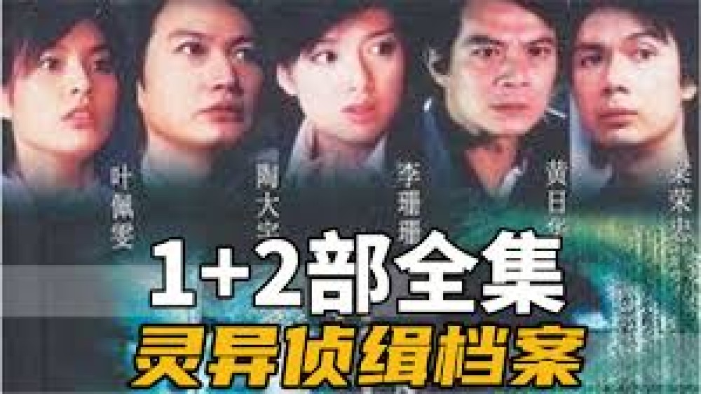 Hồ Sơ Trinh Sát (Phần 5) - Detective Investigation Files V