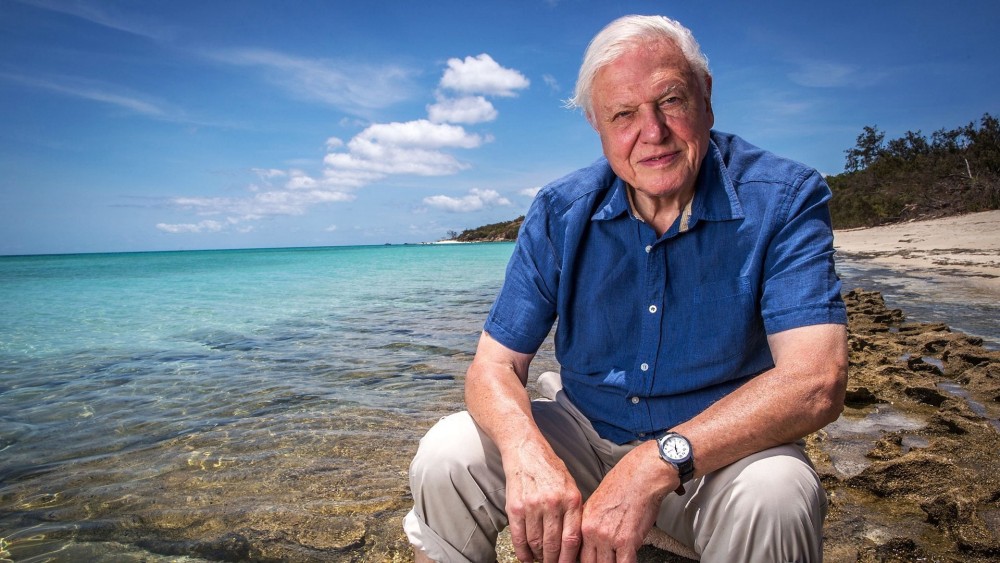 Khám Phá Rạn San Hô Great Barrier cùng David Attenborough - Great Barrier Reef with David Attenborough