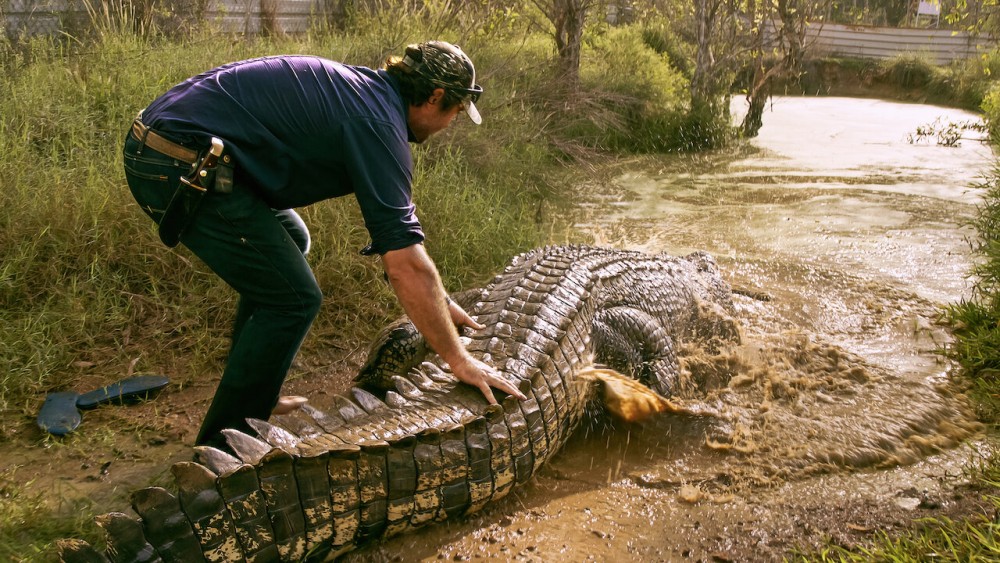 Lãnh Địa Cá Sấu Hoang - Wild Croc Territory