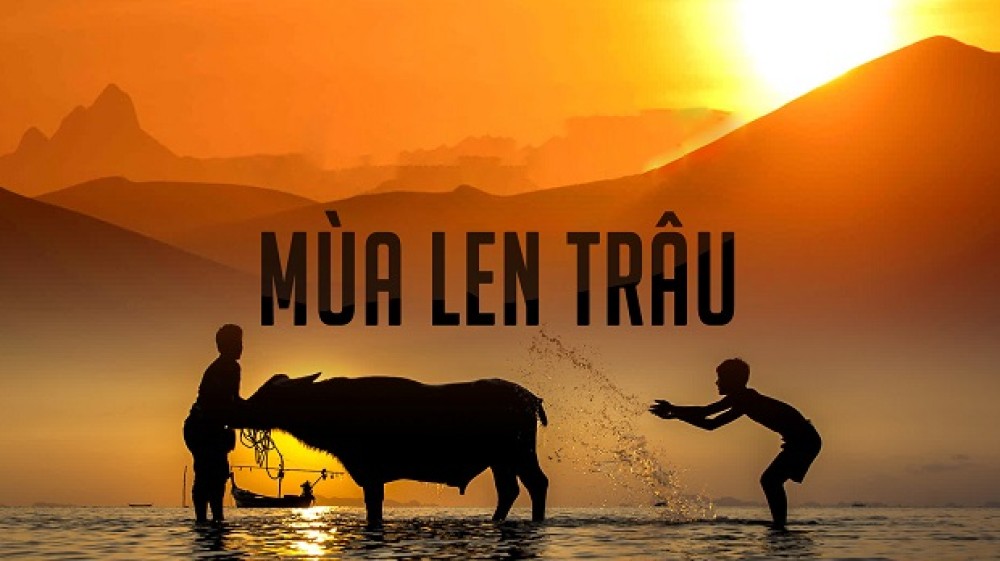 Mùa Len Trâu - The Buffalo Boy