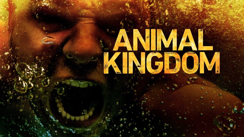 Vương Quốc Tội Phạm (Phần 3) - Animal Kingdom (Season 3)