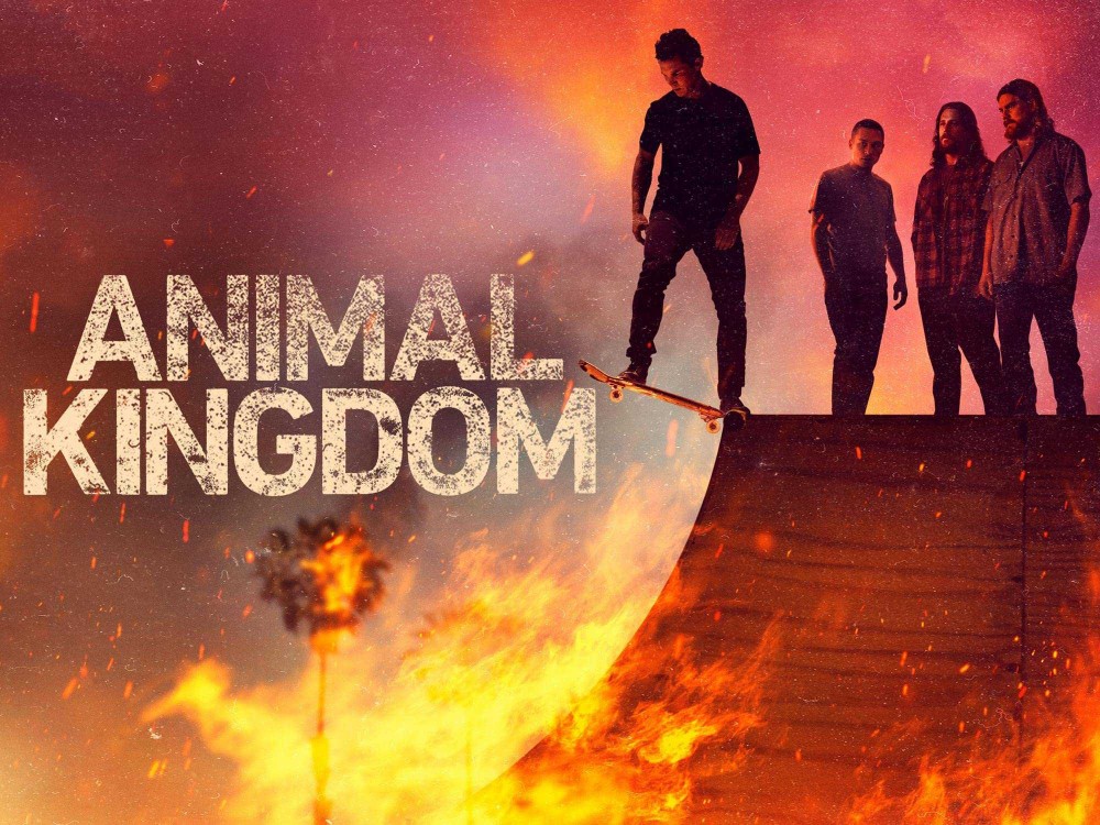 Vương Quốc Tội Phạm (Phần 6) Animal Kingdom (Season 6)